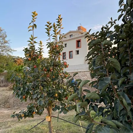 Rural Mas De L'illa Hotel Tivissa