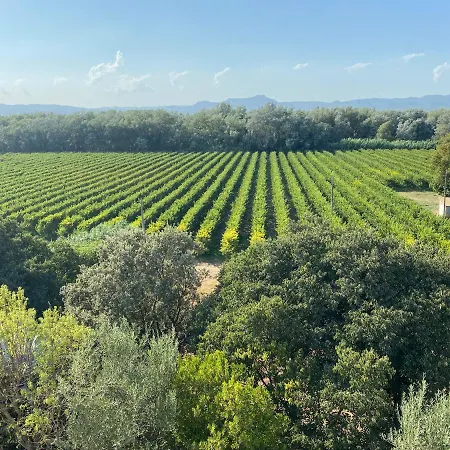 Rural Mas De L'illa