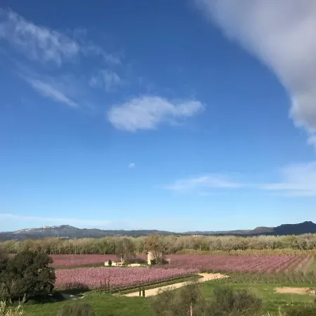 Rural Mas De L'illa * Tivissa