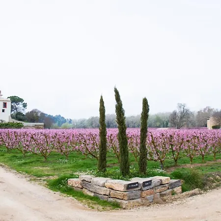 Rural Mas De L'illa Hotel Tivissa