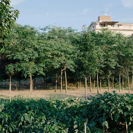 Rural Mas De L'illa Hotel Tivissa