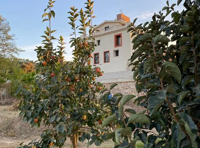 Rural Mas De L'illa Hotell Tivissa