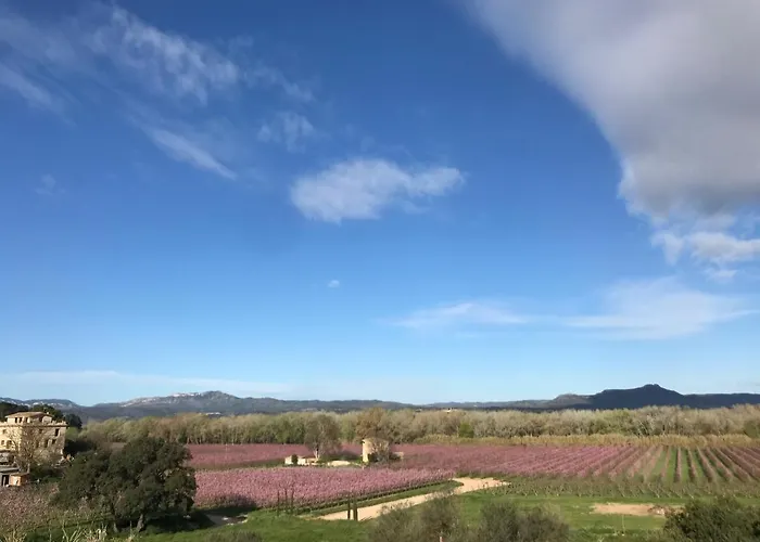 Rural Mas De L'illa * Tivissa